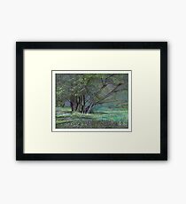 Glade Framed Print