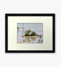 Little Island Framed Print