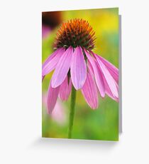 Echinacea Greeting Card