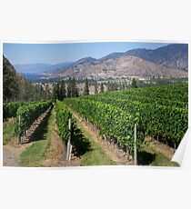 Okanagan Falls Poster