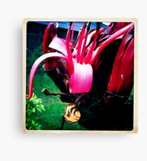 Gymea Lily Part 2 Canvas Print