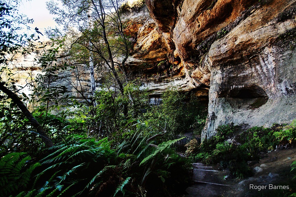 "Walls Cave, Blue Mountains, Australia" by Roger Barnes Redbubble