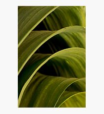 Abstract curves and colours Photographic Print