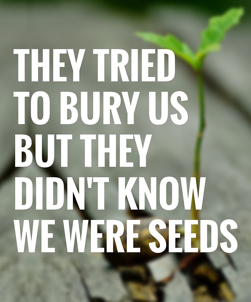 They Tried To Bury Us But They Didnt Know We Were Seeds By Lazygreybear Redbubble 