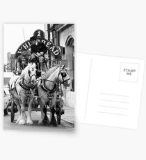 Whitbread Horses Postcards