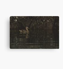 Mallard - Bedrock contrast Canvas Print