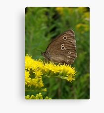 Ringlet Canvas Print
