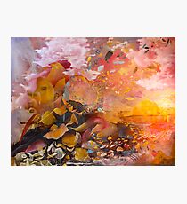 Calender Photographic Print