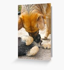 Mothering (German Shepherd 'mum' and pup) Greeting Card