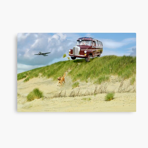 Jump Canvas Print