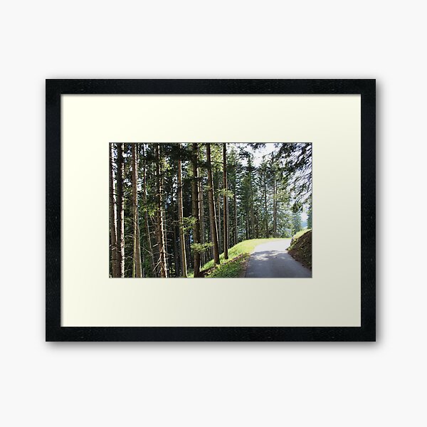 Schanfigger forest Framed Art Print