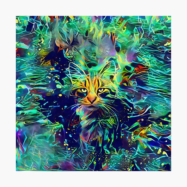 Deep Style Cat Photographic Print