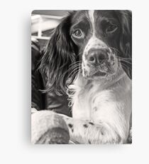 Me and My Tennis Ball Metal Print