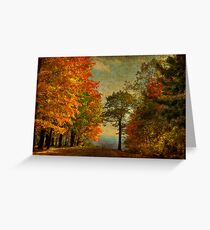 Down the Mountain Greeting Card