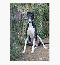 Butch Photographic Print