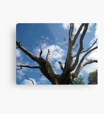 Gog - Bones of An Ancient Oak Metal Print