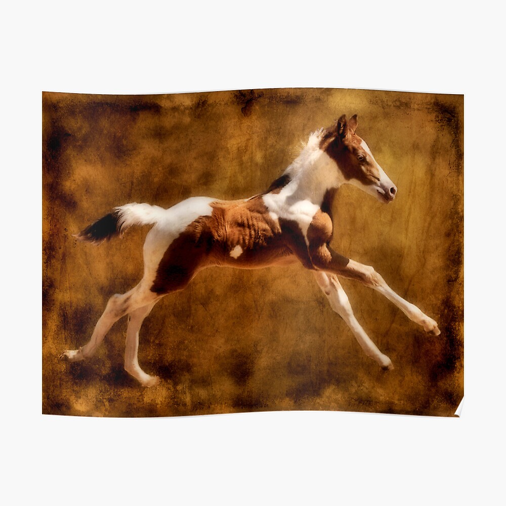 "Yippee Ki Yo Ki Yay" Poster by SuddenJim Redbubble