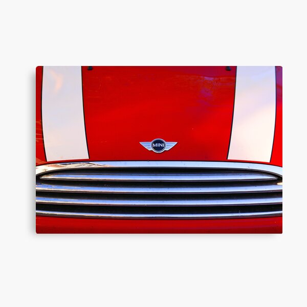 mini red Canvas Print