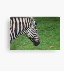 Racing Stripes Canvas Print