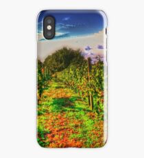 autumn vineyard iPhone Case/Skin