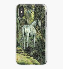 Unicorn & Pixies iPhone Case/Skin