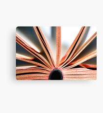 Paper Sun Canvas Print