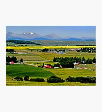 Gold in The Valley Photographic Print