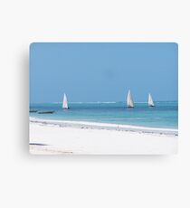 Calmness Canvas Print