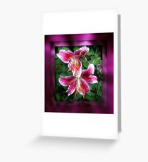 Star Gazer Lillies Greeting Card