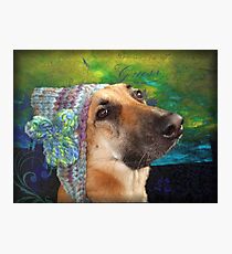 Mallow and her knitted hat Photographic Print