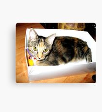 I'll take this one. Canvas Print