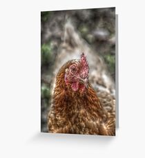 Hen HDR Greeting Card