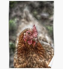 Hen HDR Poster