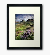 Scotland: My Bonny Heather Framed Print