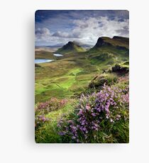 Scotland: My Bonny Heather Canvas Print