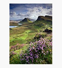 Scotland: My Bonny Heather Photographic Print