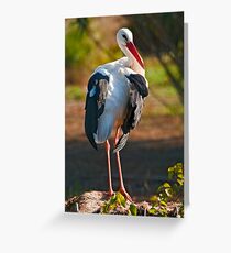 Who, me? Greeting Card