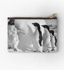 Ice cased Adelie penguins after a blizzard at Cape Denison Studio Pouch