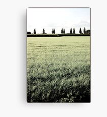 Tuscany Canvas Print
