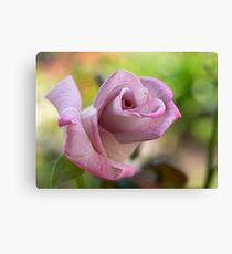Rosebud au naturel Leinwanddruck