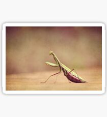 Praying Mantis - Queen of the Garden Sticker