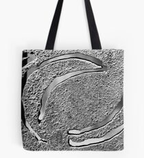 Rusted Gate Tote Bag