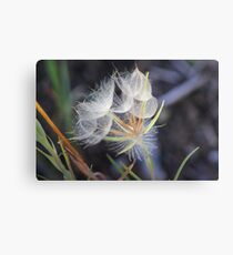 Transition Canvas Print