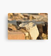POV Canvas Print