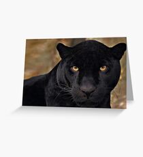 The Black Panther Greeting Card