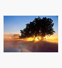 Buttercup Sunrise Photographic Print