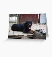 Rocko And YES I AM A Puppy Greeting Card
