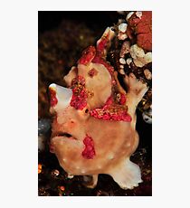 Warty Photographic Print