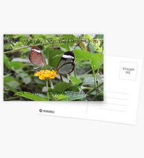 Fluttering By Postcards