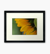 Hello Sun!! Framed Print